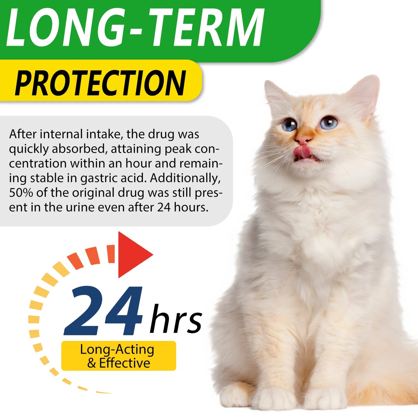 Natural Antibiotics for Cat Supports Pets Allergy Relief Itch Relief Multivitamin Help Cat Antiviral Antifungal in Liquid Form