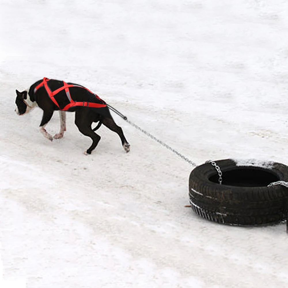 Waterproof Dog Sledding Harness Reflective Pet Sledding Skijoring Harness Big Large Dogs Weight Pulling Vest For Pet Training