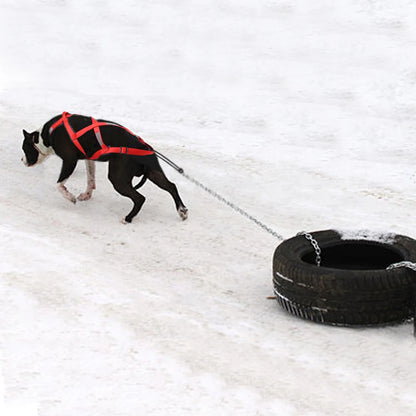 Waterproof Dog Sledding Harness Reflective Pet Sledding Skijoring Harness Big Large Dogs Weight Pulling Vest For Pet Training