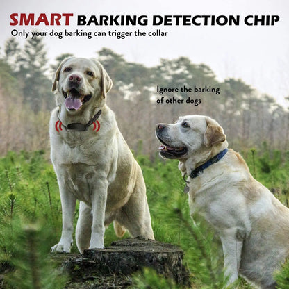 Dog Bark Collar Rechargeable Bark Terminator Advanced Bark Control Shock Vibra Dog Training Anti Bark Collar Pet Auto bark stop