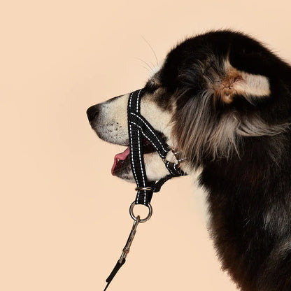 Dog Mouth Muzzle Dog Head Collar Dog Head Cover Safety Clasp Halter Comfortable Training Tool For Dog Walking Pet Accessories