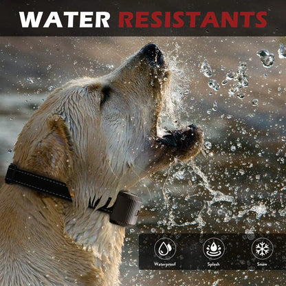 Dog Bark Collar Rechargeable Bark Terminator Advanced Bark Control Shock Vibra Dog Training Anti Bark Collar Pet Auto bark stop