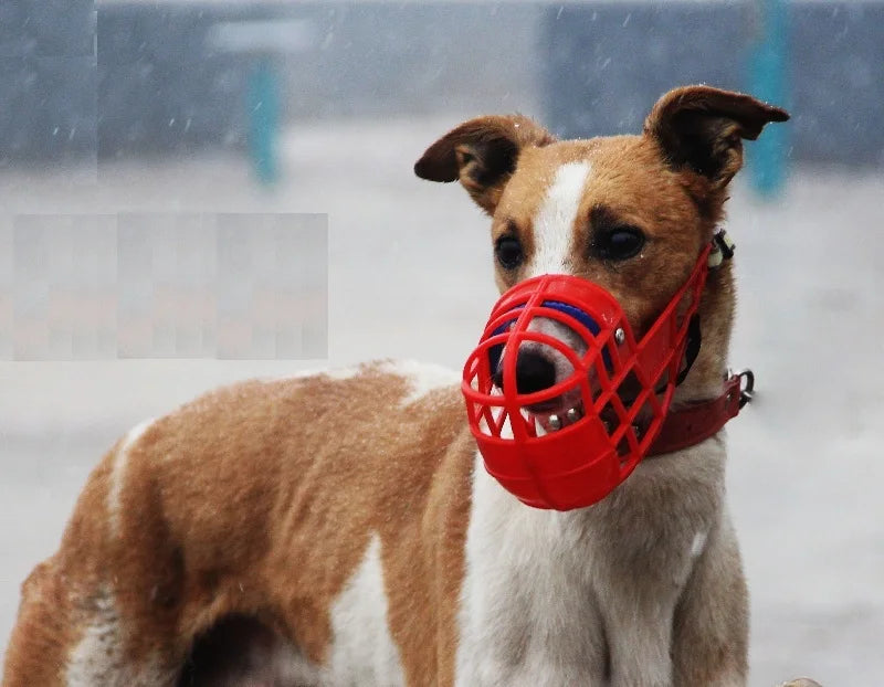 Pet Dog Muzzle Breathable Basket Muzzles Large Dogs Stop Biting Barking Chewing For Greyhound Gree Whippet Dogs supplies