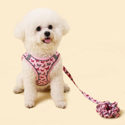 Winter Warm Small Dog Harness Leash Set Soft Puppy Vest Harness Cute Pet Traction Bracelet Small Cat Harness set Pet Accessories