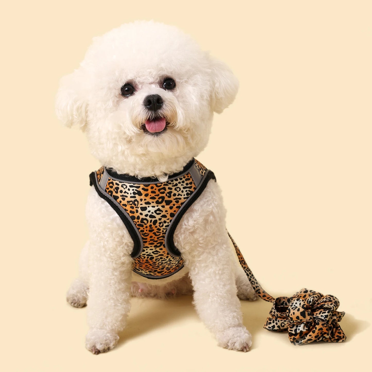 Winter Warm Small Dog Harness Leash Set Soft Puppy Vest Harness Cute Pet Traction Bracelet Small Cat Harness set Pet Accessories