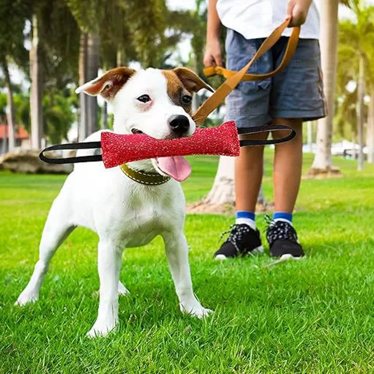 1pc-Dog Tug of War Toy Outdoor Tug of War Puppy Training Chew Pillow Best for Tug of War, Puppy Training Interactive Games