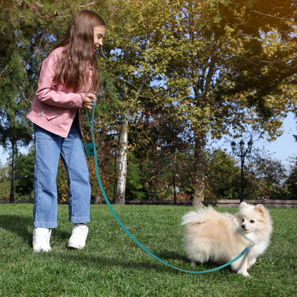 Dog Poop Bag Holder Leash Generation Medium Adjustable Two Piece Dog Lleash Walking Bags Lead Lea