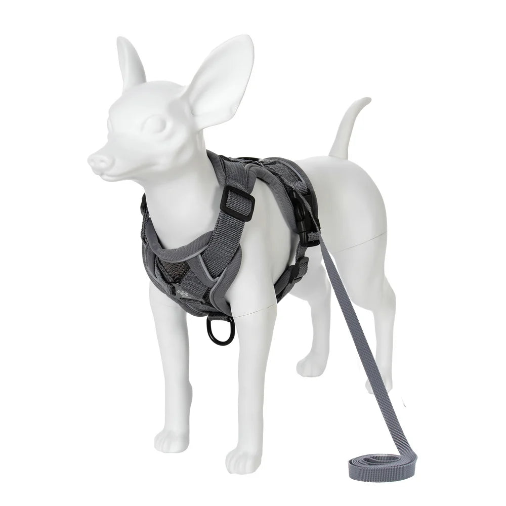 Breathable Cat Harness Leash for Small Medium Dogs Cats  Adjustable Reflective Harnesses Pets Vest Puppy Maine Sphynx Supplies