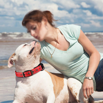 Reflective Striped Dog Collar, Escape-Proof Nylon, Quick-Release Buckle, Soft Padded, for Small Cat, Medium and Large Dogs
