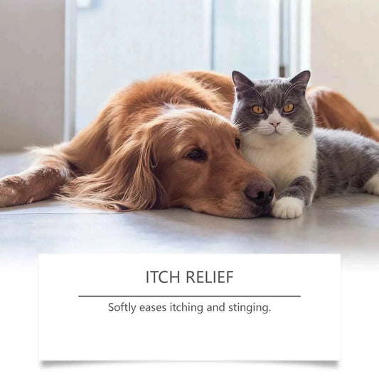 Pet Skin Care Gel Relieve Discomfort For Dogs Cats Control Alleviate Reduce Scratching Licking Portable Pet Wound Treatment Gels
