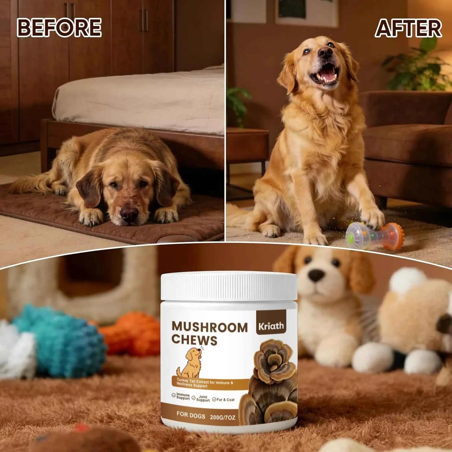 Turkey Tail Mushroom Chew for Dogs Joint Spine Mobility Support Immune Health with Lion's Mane Shiitake Turmeric Prebiotics