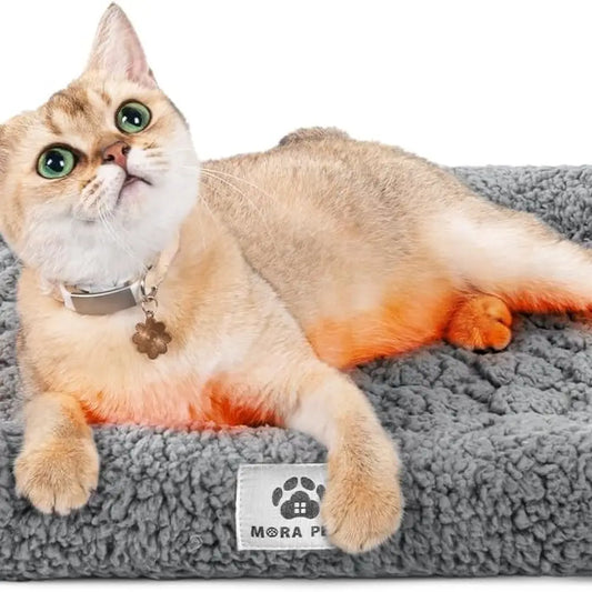 Self Warming Cat Bed Self Heating Pet Pad with Bolster and Foam Washable Removable Cover Non Slip Thermal Sherpa Fabric Pet Mat