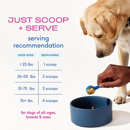 Advanced Care - Hip & Joint Supplement for Dogs - Supports Joints, Cartilage, Muscles & Anti-Inflammatory with HMB, UC-II Collag