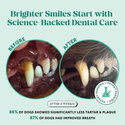 Dog Breath Freshener Dental Powder for Teeth Cleaning Plaque Off Dental Care for Dogs Tartar Remover for Teeth with Kelp Mint