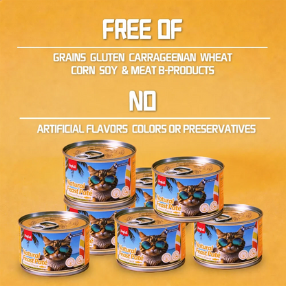 Petfull Cat Canned for Cat and Dog Pet Food 170gx24Cans Tuna Beef Salmon Chicken Flaver Cat Food Cans