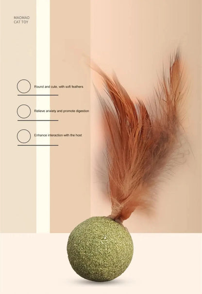 Pet Catnip Toys Edible Catnip Ball Safety Healthy Cat Mint Cats Home Chasing Game Toy Products Clean Teeth Cat Mint Ball