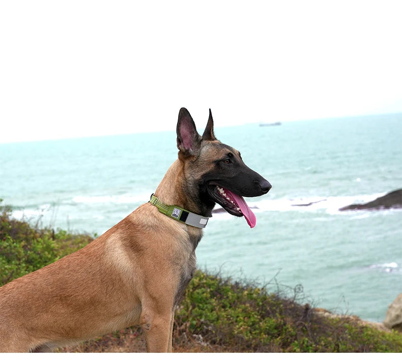 Truelove Pet Collar Reflective Multifunctional Personalized Dog Collar DuPont Soft Breathable Adjustable for Large Dogs TLC5611