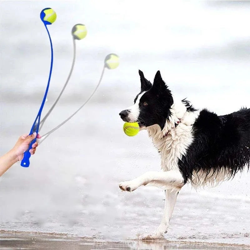 Pet Tennis Ball Launcher Set Outdoor Dog Training Toy Fetch Play Durable Ergonomic Handle Interactive Ball Picking Pet Supplies