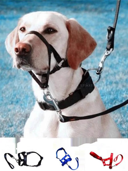 New Nose Ring Around The Mouth Dog Muzzle Adjustable Pet Supplies Prevent Dogs From Eating Randomly Prevent Random Biting