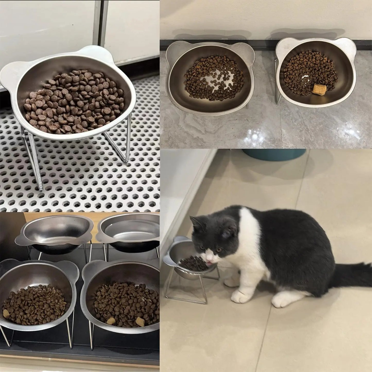 Elevated Cat Bowls for Small Dogs 5.9" Indoor Stainless Steel Raised Cat Bowl for Food Water 15° Titled Anti-Vomiting Dog Dishes