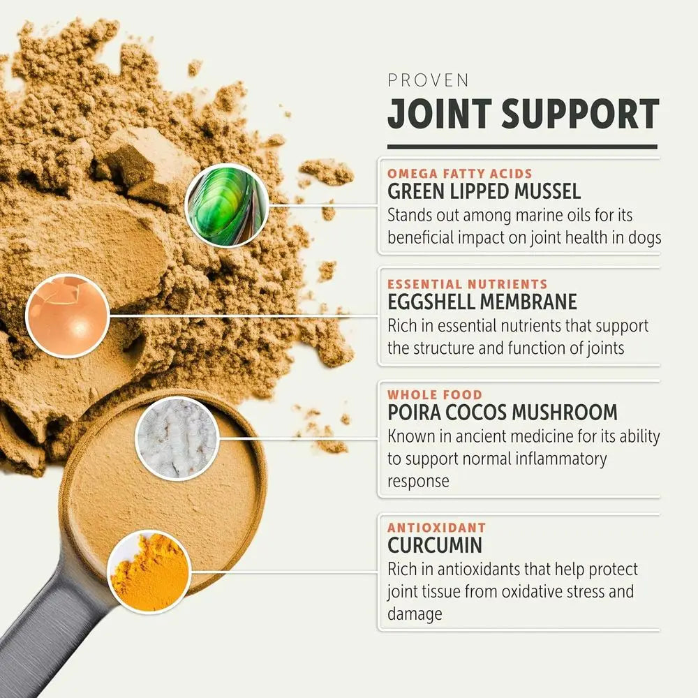 Hip & Joint - Joint Supplement for Dogs with Green Lipped Mussel, Eggshell Membrane and Curcumin - Veterinarian Formulated - 60