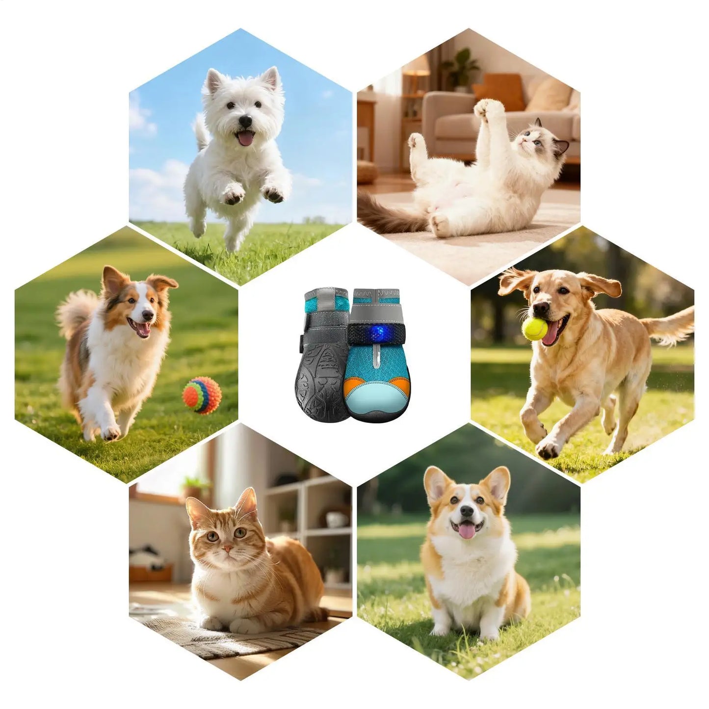 Light Up Dog Shoes Breathable Pet Supplies Doggy Shoes Cat Glowing Boots For Puppy Kitten Summer Outdoor Night Walks Training