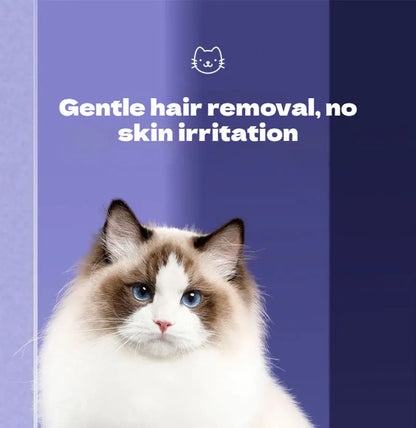 Pet Cleaning Product Essential Plastic Pet Hair Brush Needle Cat Dog Hair Cleaning Combs Hair Removers with Click Clean Button