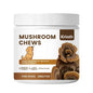 Turkey Tail Mushroom Chew for Dogs Joint Spine Mobility Support Immune Health with Lion's Mane Shiitake Turmeric Prebiotics