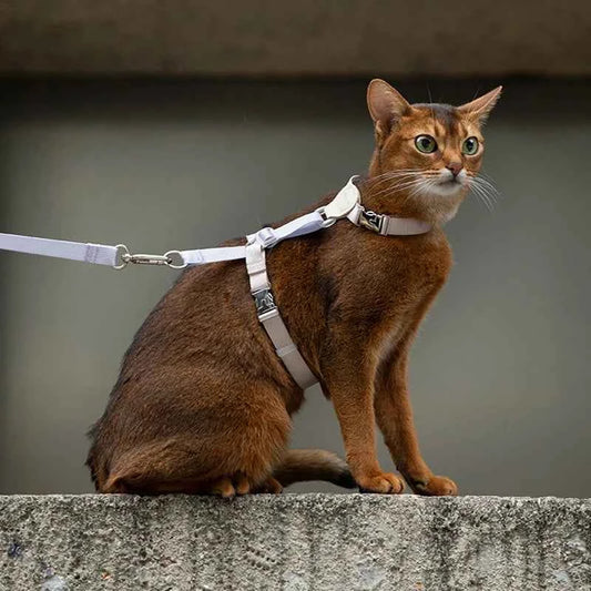 Cat Harness Leash Set Adjustable I-shaped Walking Cat Rope Chest Strap Pet Outdoor Supplies Breathable Harness Leash Puppy Cat