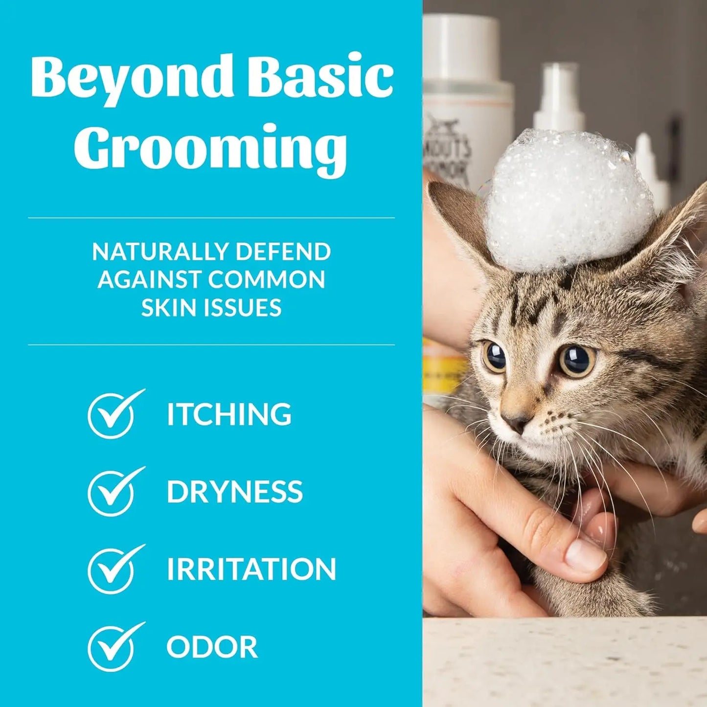 Fragrance-Free Probiotic Cat Shampoo & Conditioner with Avocado Oil & Omega-3s, 97% Natural, Paraben & Sulfate-Free, Cruelty-Fre