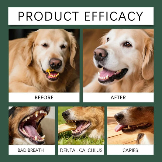 Natural Pet Dental Powder Cat Dog Breath Freshener Oral Health Care Clean Teeth Plaque Defense Enzyme Formula Pet Supplies