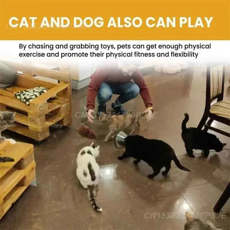 Smart Pet Toys Responsive Action Pleasure Fun and Exciting Pet Toys Smart Mouse Toy Popular Toys Best Seller Pet Interaction
