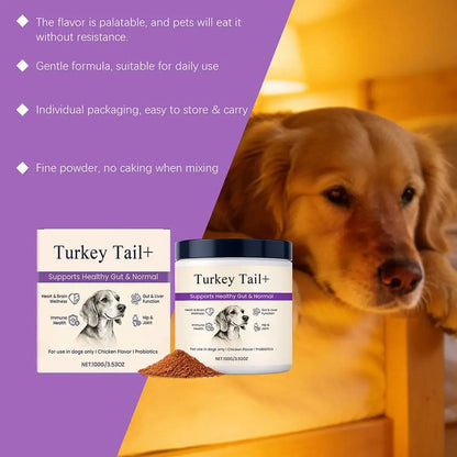 Bacon Flavor Dog Probiotic Powder Gut Flora Balance Digestive Aid Intestinal Health Care For Puppy Adult Dogs