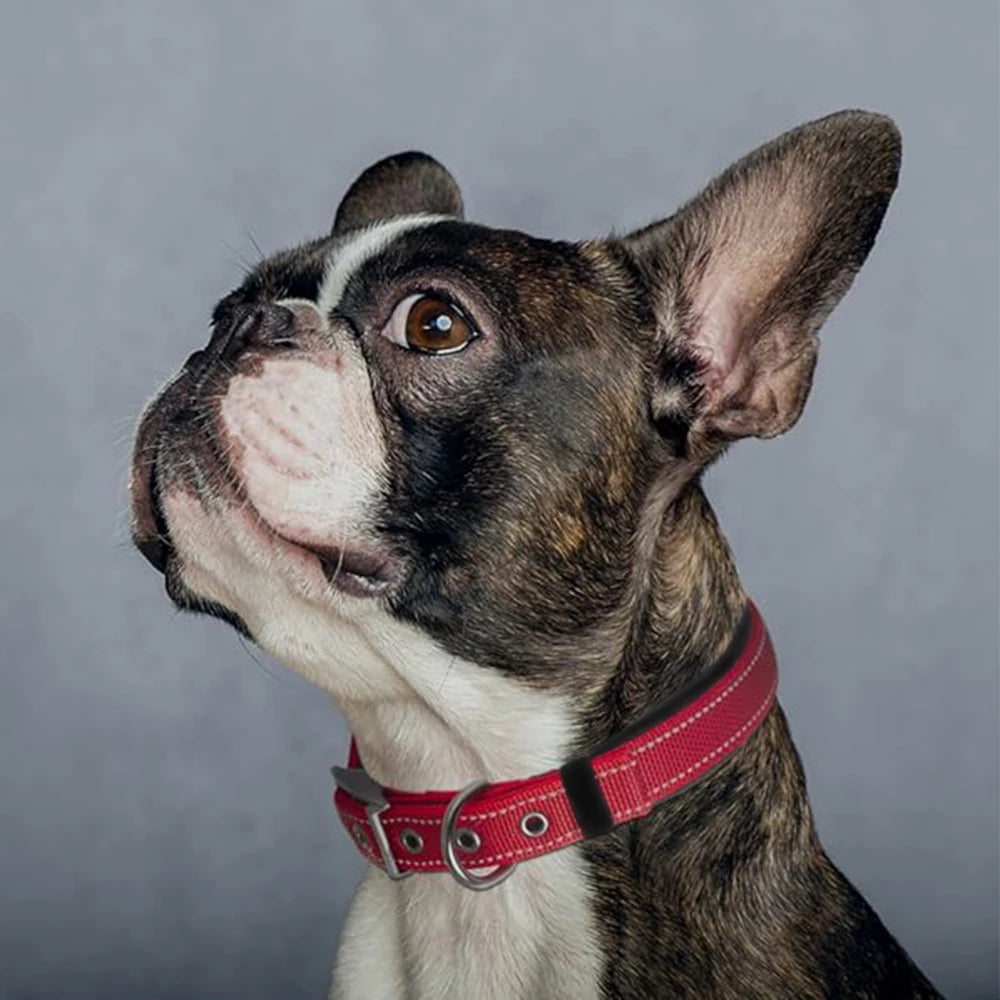 Reflective Striped Dog Collar, Escape-Proof Nylon, Quick-Release Buckle, Soft Padded, for Small Cat, Medium and Large Dogs