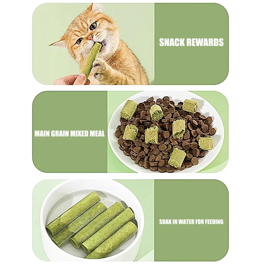 Cat Grass Sticks Grass Chewing Stick Freeze Dried Snacks Mouth Health Teething Digestive Aid Natural Teeth Cleaner Fattening Pet