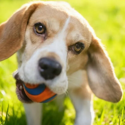 Dog Toy Ball Dog Fetch Ball Toy Tough Pet Ball Puppy Chew Toy Solid Elastic Jumping Ball Pet Accessories For Large Medium Small