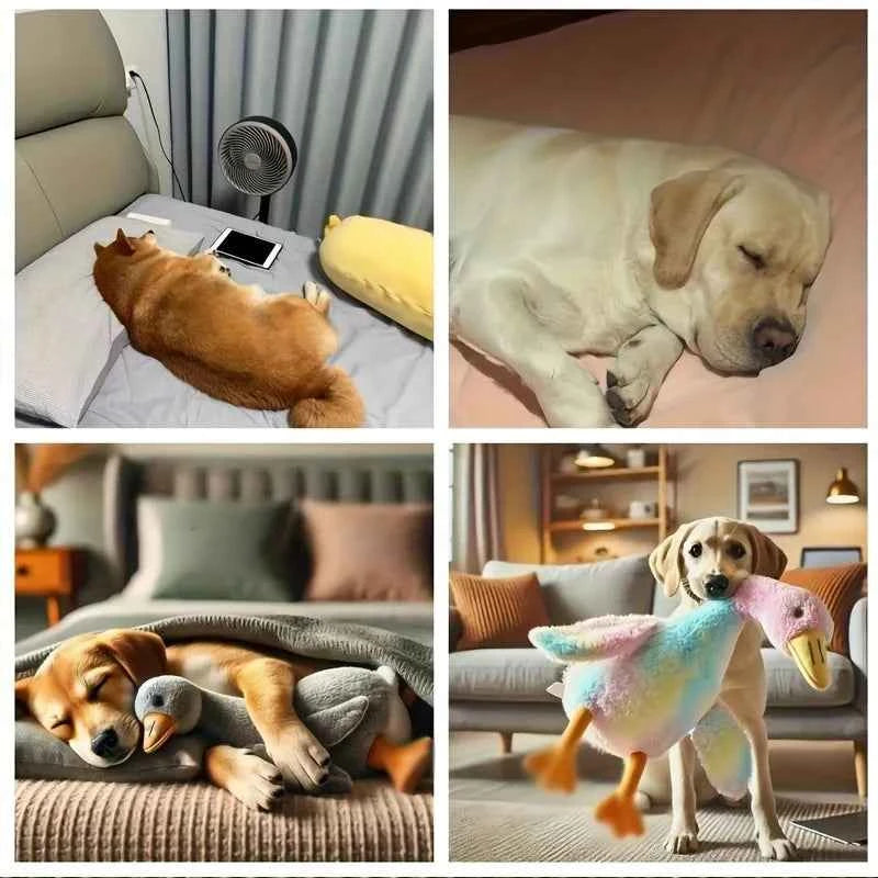 50cm Soft Colorful Duck Plush Toy for Cats Dogs Relax Pet Companion Anxiety-Relieving Dog Buddy Energy Release Gift for Pets