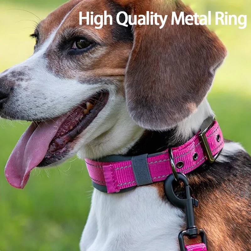 Solid Dog Collars Nylon Dog Collar For Small Medium Large Dogs Teddy Keji Pitbull Bulldog Beagle