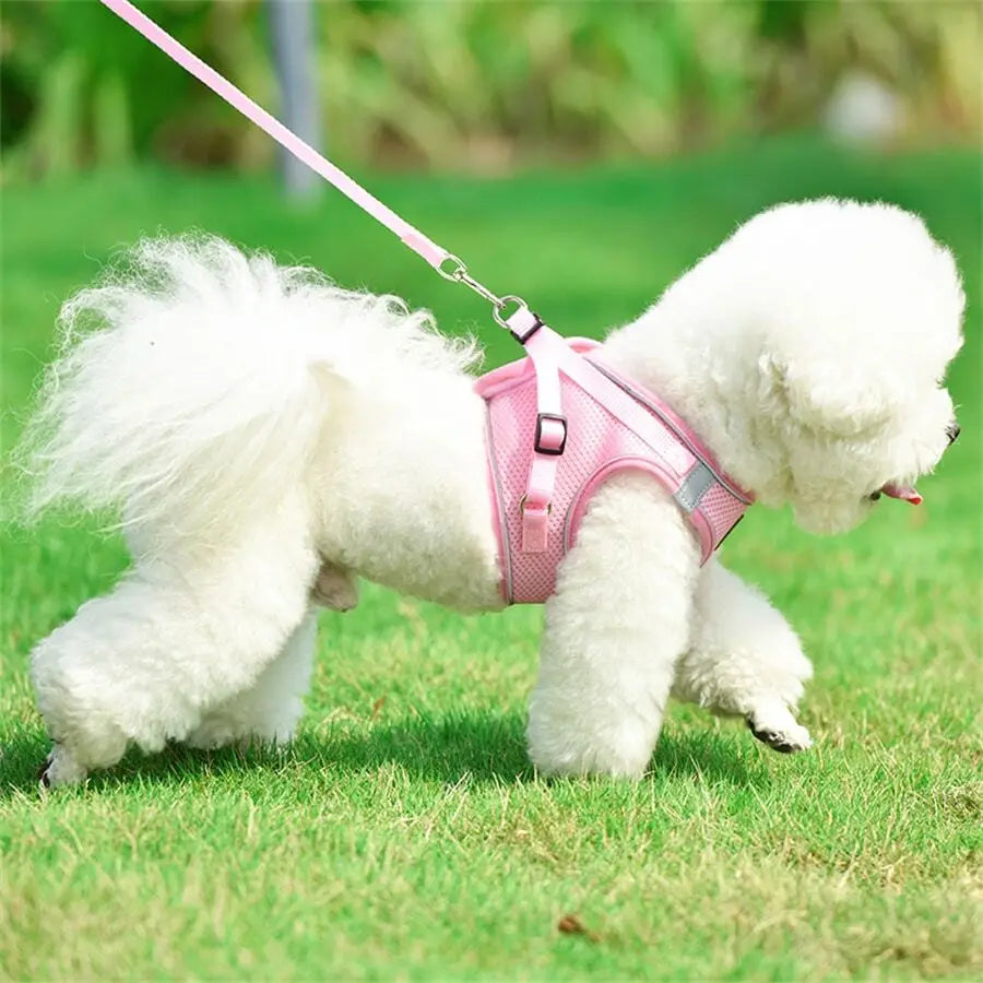 1 Set Pet Harness Leash, Suitable For All Seasons, Fits Small And Medium Dogs, Vest-Style Comfortable Dog Leash, Outdoor Walking