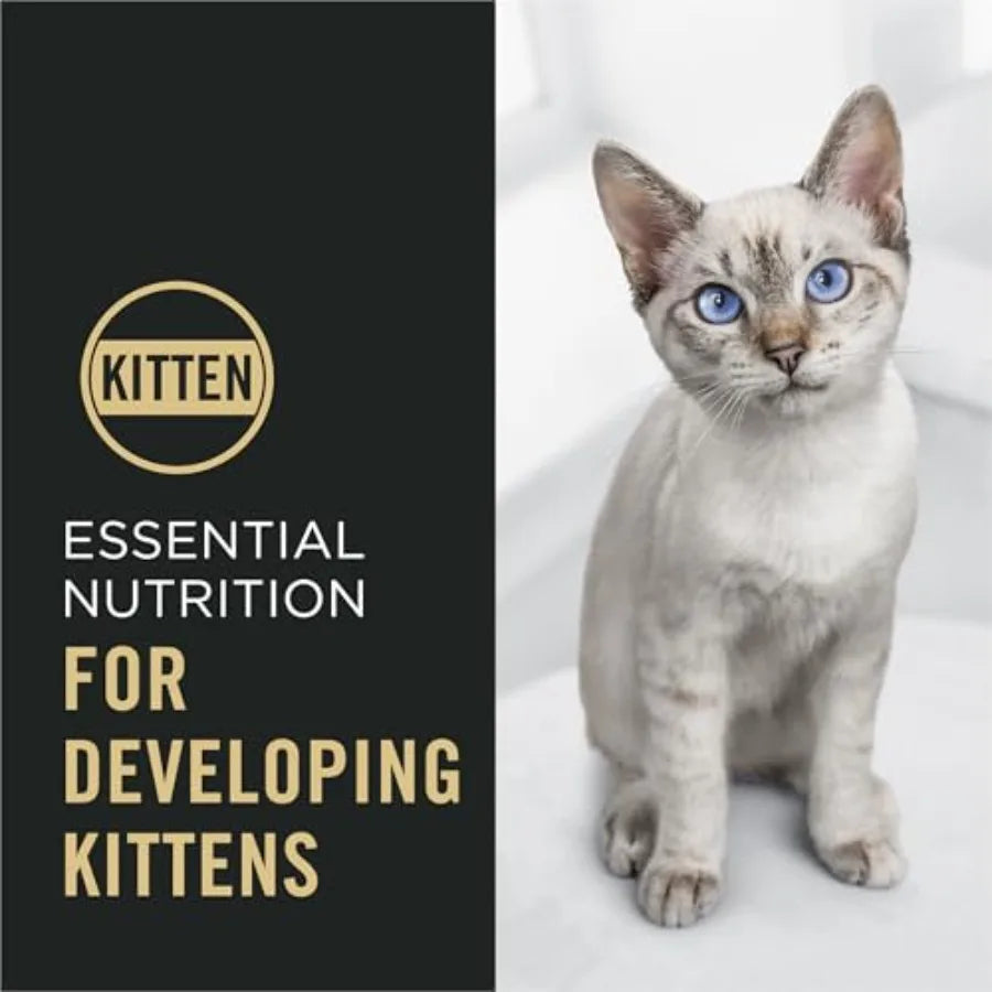Kitten Dry Food Complete Essentials Chicken and Rice Formula - 16 lb. Bag
