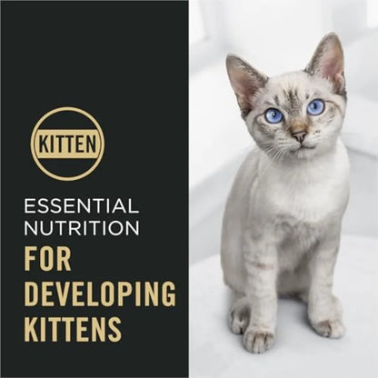 Kitten Dry Food Complete Essentials Chicken and Rice Formula - 16 lb. Bag