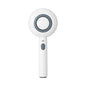 Pet spray Comb Cat Cleaning Massage Comber Brush Removing Float Needle Comb Anti Flying Hair Spray Cat Dog Comb Beauty Products