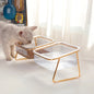 Transparent Elevated Dual Cat Bowl, 2-in-1 Raised Feeder for Food & Water, Tilted Design for Easy Eating, Ideal for Cat Health