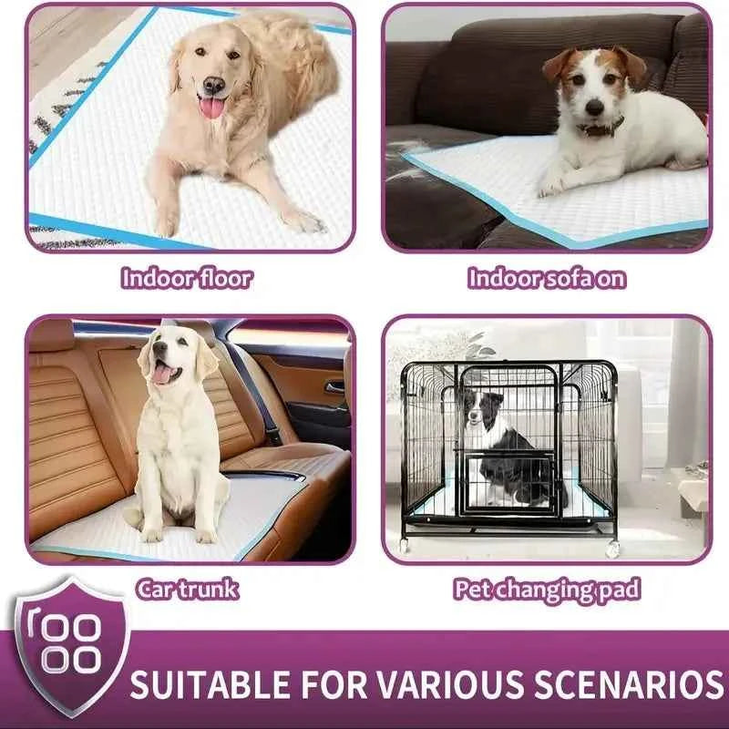 XXL Dog Pee Pads | Various Sizes Of Premium Disposable Dog Training Pads | Super Absorbency | Blue Extra Strength Leak-Proof