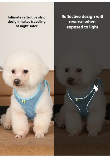 Pet Things Cat Accessories Cute Adjustable Cat Collar and Leash Set for Walking Safe Reflective Soft Comfortable Vest