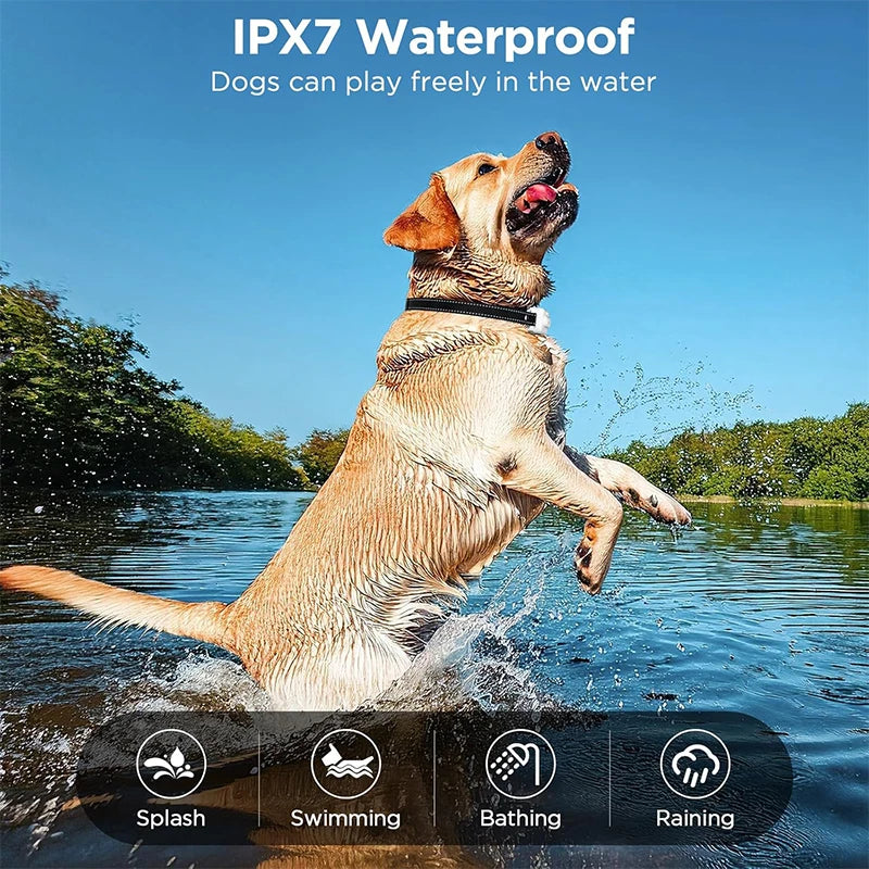 Pet Dog Training Collar 3300ft with IP67 Waterproof Shock Vibration Sound Functions for Behavior Correction Remote controlled