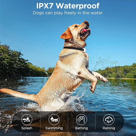 3300ft Waterproof Dog Training Collar – IP67 Shock, Vibration & Sound Remote Control - Pet Suppie