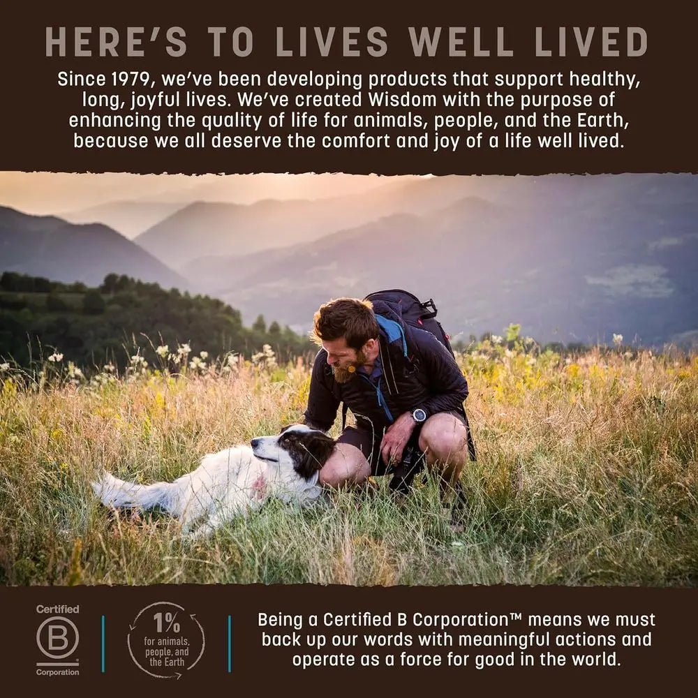 Wisdom Air Dried Dog Food - From the Sea Recipe Premium Natural Dry Dog Food for All Breeds & Ages - 8 Lbs Bag