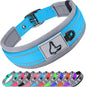 Solid Dog Collars Nylon Dog Collar For Small Medium Large Dogs Teddy Keji Pitbull Bulldog Beagle