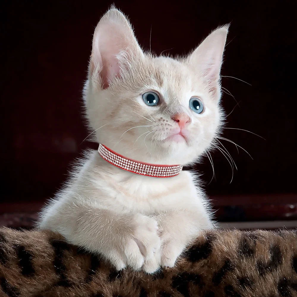 Soft Pink Suede Leather Cat Collar - Bling Rhinestone Design with Bell, Safety Breakaway & Adjustable XS/S for Cats & Puppies